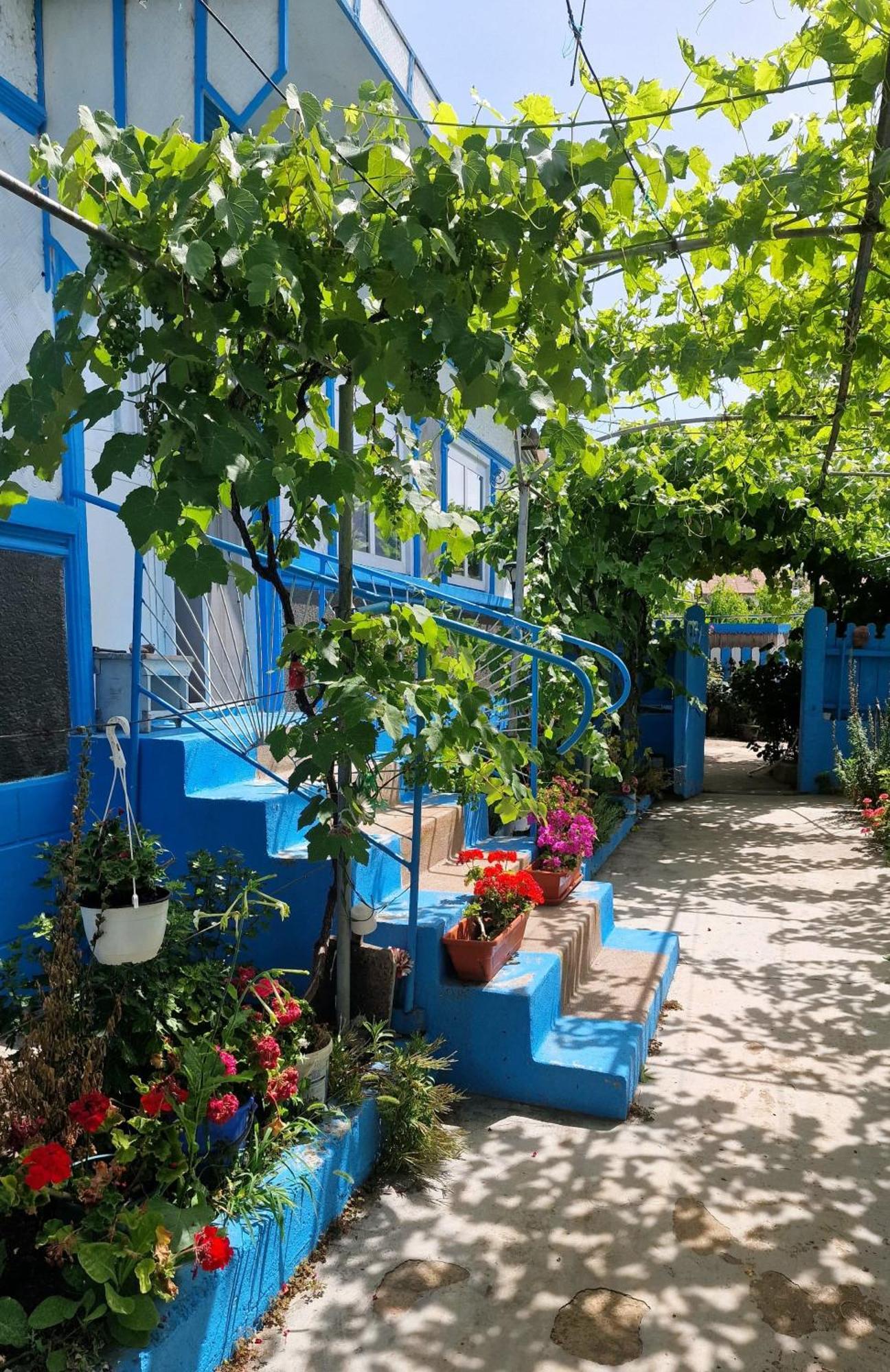 Casa Lidia Vendégház Jurilovca Kültér fotó